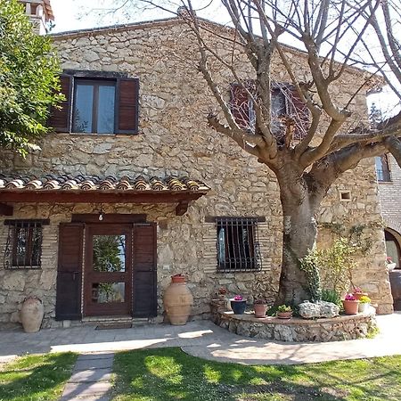 All'Ombra Di San Damiano Асизи Екстериор снимка