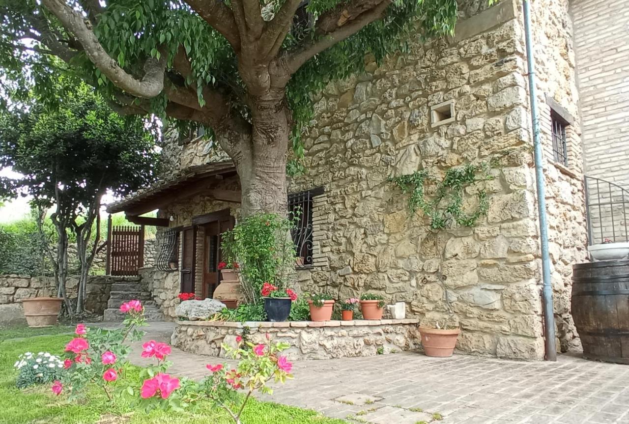 All'Ombra Di San Damiano Асизи Екстериор снимка