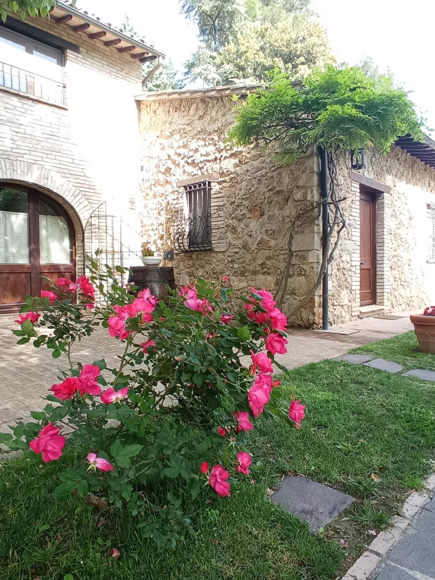 All'Ombra Di San Damiano Асизи Екстериор снимка