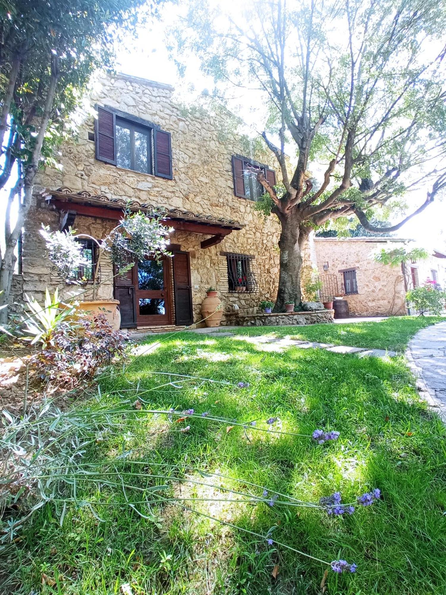 All'Ombra Di San Damiano Асизи Екстериор снимка